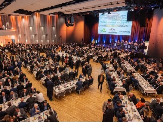 Grünkohl Mahlzeit 2024